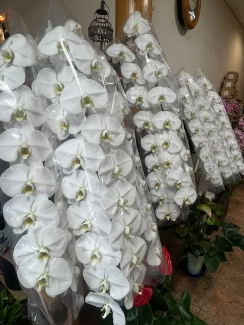 一番高価なお花は・・・！