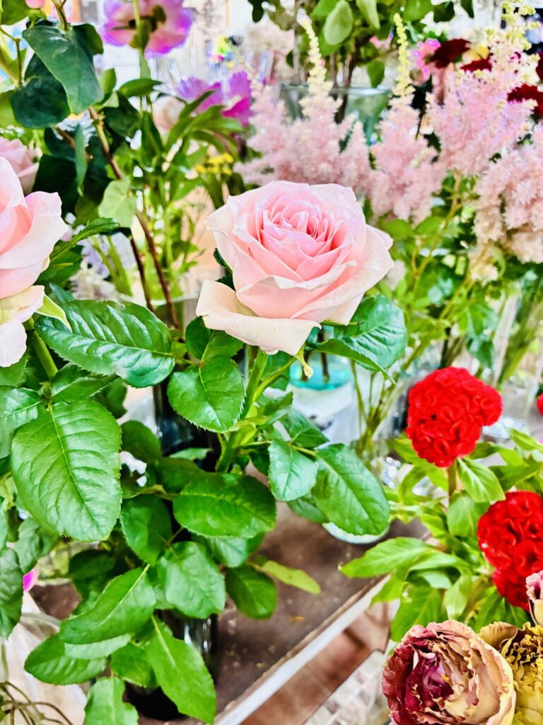 岡田花店さんに行ってきました🌸
